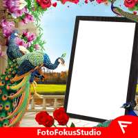 Peacock Insta DP on 9Apps