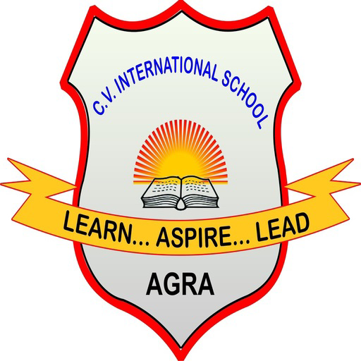 CV INTERNATIONAL SCHOOL AGRA icon