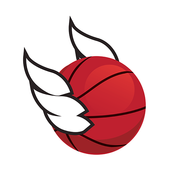 Flappy Dunk Hot 2017 icon