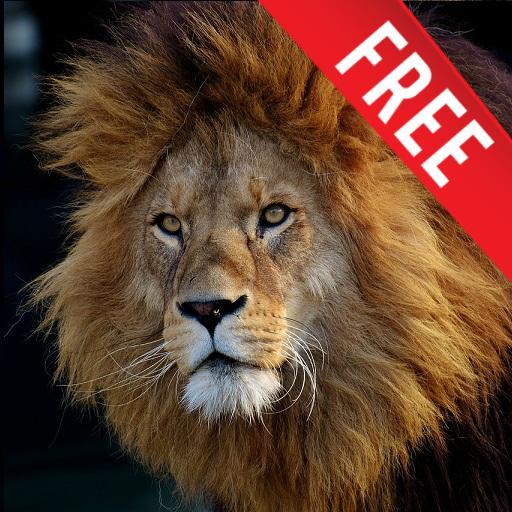 Animal Sounds - Learning App for Kids icon