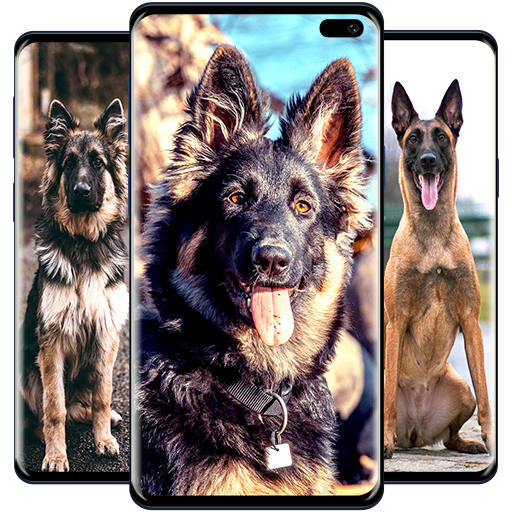 German Shepherd Wallpapers icon