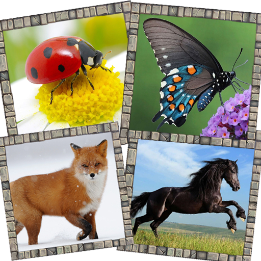 Memory - Card Game icon