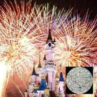 VR Guide: Disneyland, CA on 9Apps