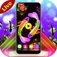 Kio Fish Video Live Wallpaper on 9Apps