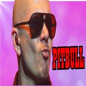 Pitbull Song icon
