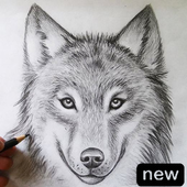 How To Draw Wolves icon