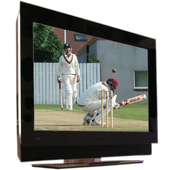 Cricket Scor Cast icon