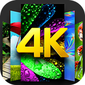 Wallpapers 4K, HD Backgrounds icon