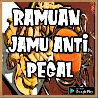 Ramuan Jamu Anti Pegel on 9Apps