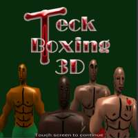 Teck Boxing 3D