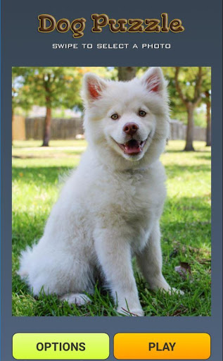 Cute Puppy Dog relaxing rotation puzzles screenshot 2