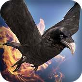 طيور محاكي قتال العصور الوسطى