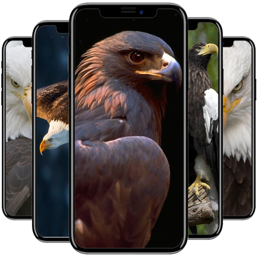 Eagle  Wallpaper icon