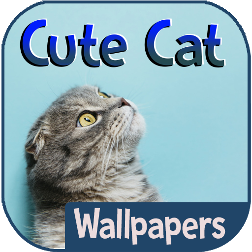 Cute Cat Wallpapers icon