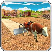 Bull Farming Village Farm 3D