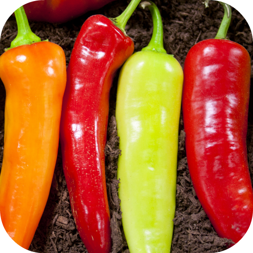 Hot Chili Peppers Wallpaper icon