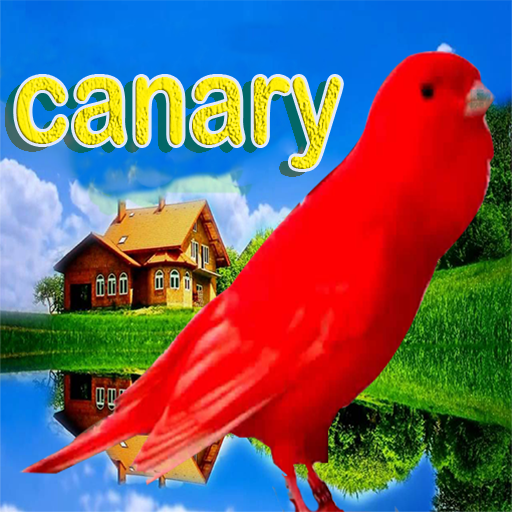 Learn canary from A to Z icon