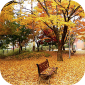 Beautiful Trees Wallpapers icon