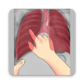 Interpretation Chest X Ray icon