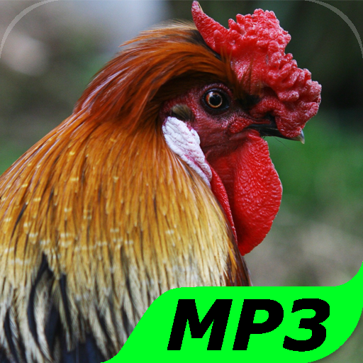 Chicken Sounds icon