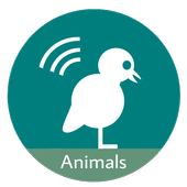Learn About Animals icon