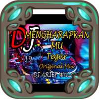 Lagu DJ Tegar Mengharapkanmu Offline on 9Apps