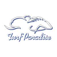 Turf Paradise