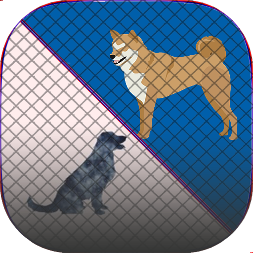 Dogs HD wallpapers icon