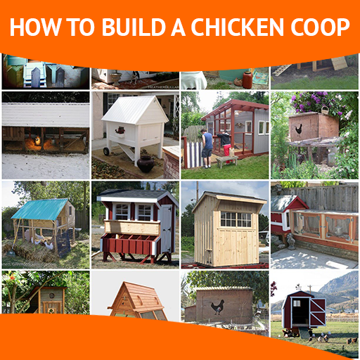 How To Build A Chicken Coop icon