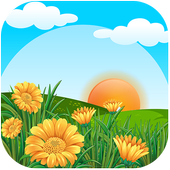 Gallery Pro иконка