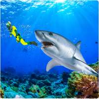 Angry Shark Attack Simulator 2019
