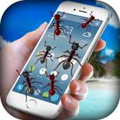 Ants on Screen - Ants in Phone Funny Joke