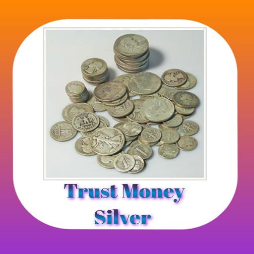 Trust Money Silver icon