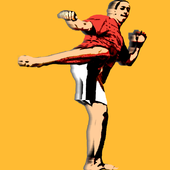 ShadowBoxing icon