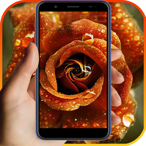 Rare Flower Live Wallpapers 4K Free Roses Library icon