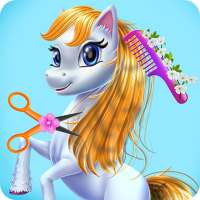 Fairy Pony Horse Mane Braiding Salon