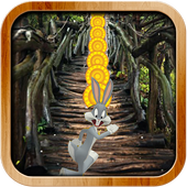 Looney Toons Dash Adventure icon
