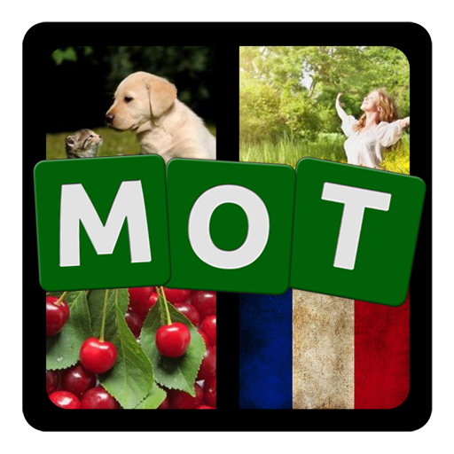 4 Photos 1 Mot icon