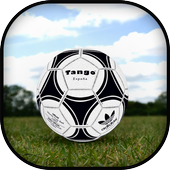 Soccer / Football Ball icon