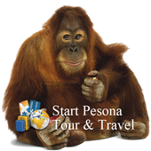 Borneo Tanjung Puting icon