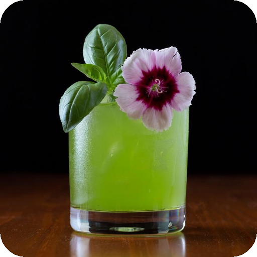 Mi Bar en casa. Cocteles icon