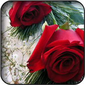 Red flowers wallpapers icon