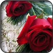 Red flowers wallpapers on 9Apps