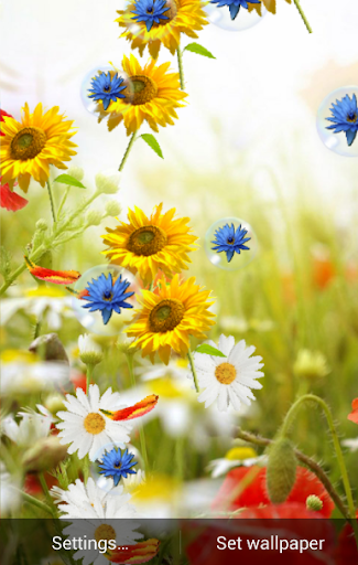 Spring Live Wallpaper 3 تصوير الشاشة