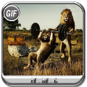 animals funny gif icon