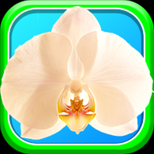 Orchid Bloom Surf: Colorful Free Match 3 Gem-2018 icon