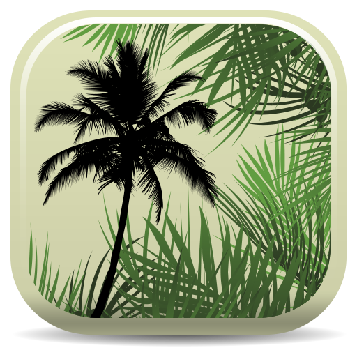 Palm ID Key icon