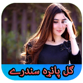 Gul Panra 2019 icon