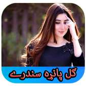 Gul Panra 2019 on 9Apps