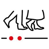 Zäme go laufe icon